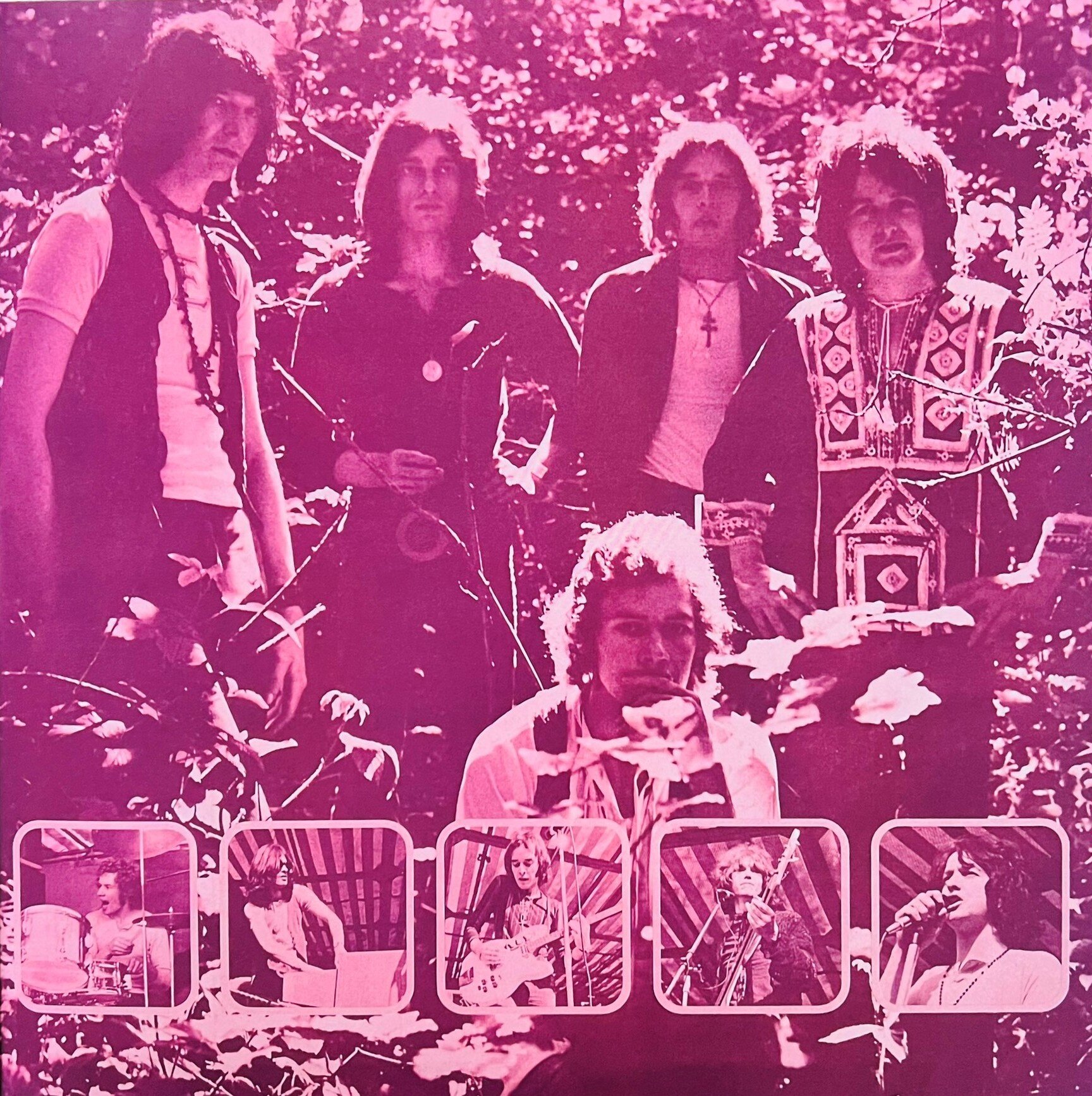 img_6918.jpeg img_6918.jpeg