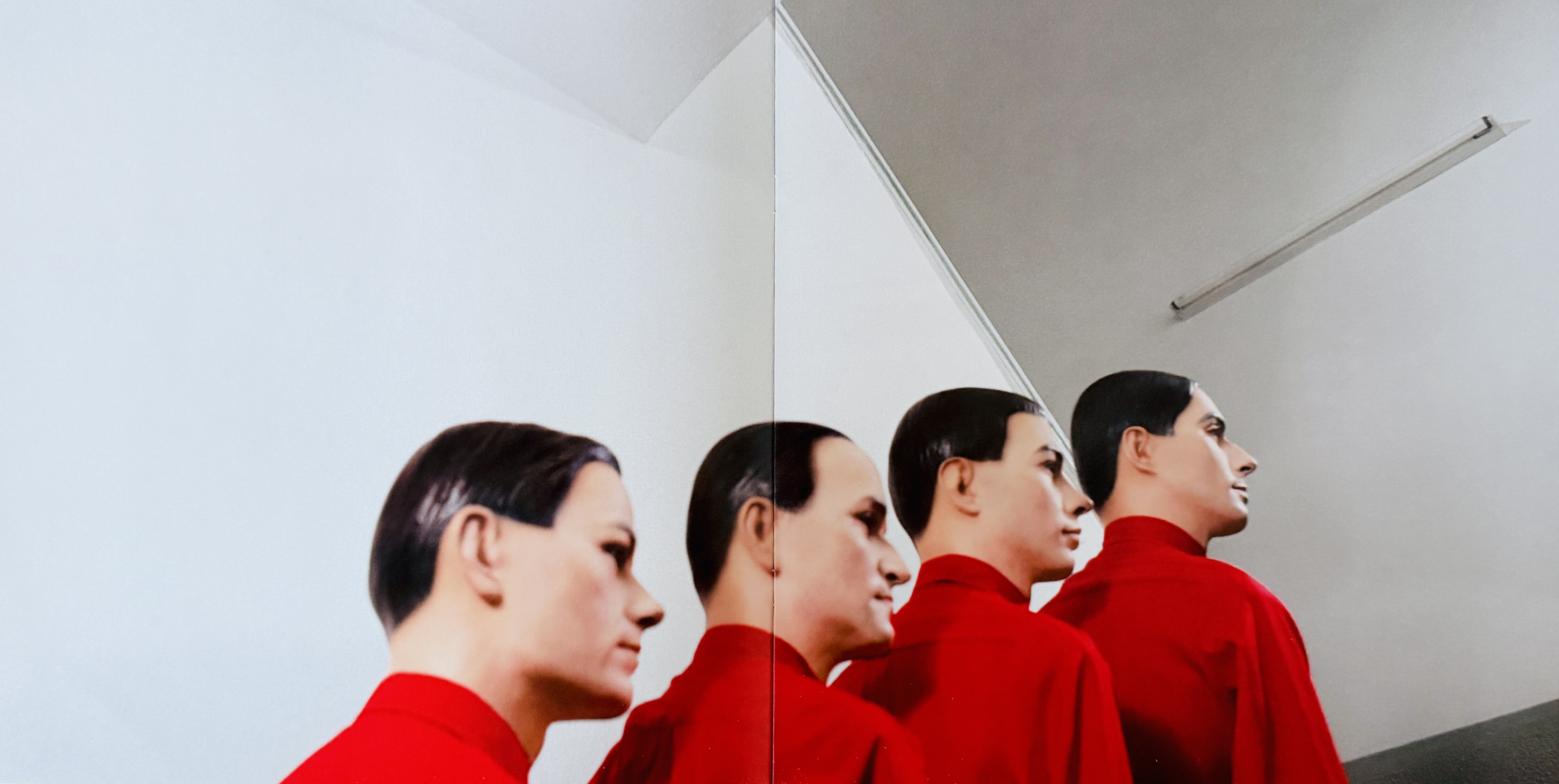 img_1194.jpeg img_1194.jpeg