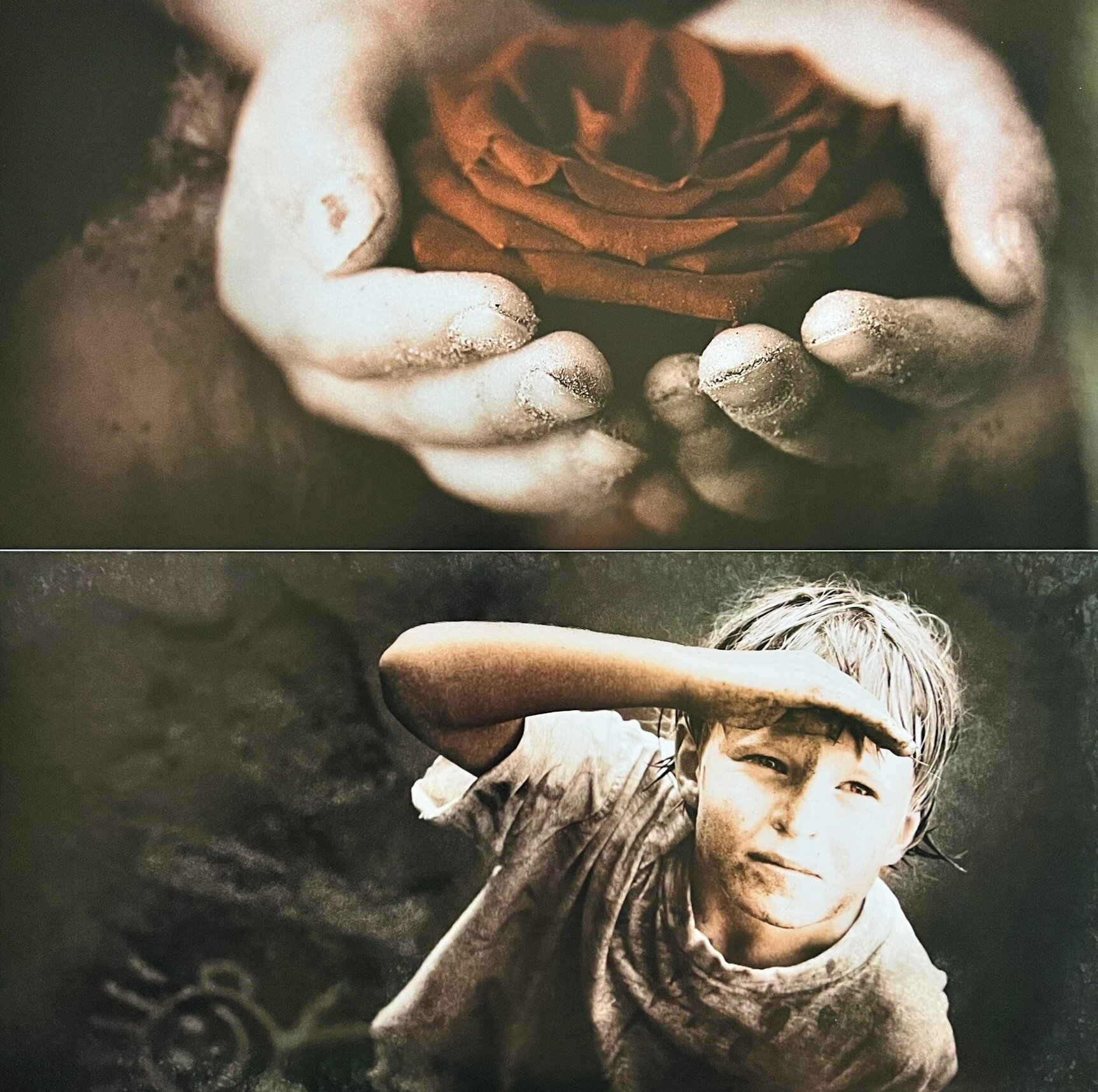 img_2324.jpeg img_2324.jpeg