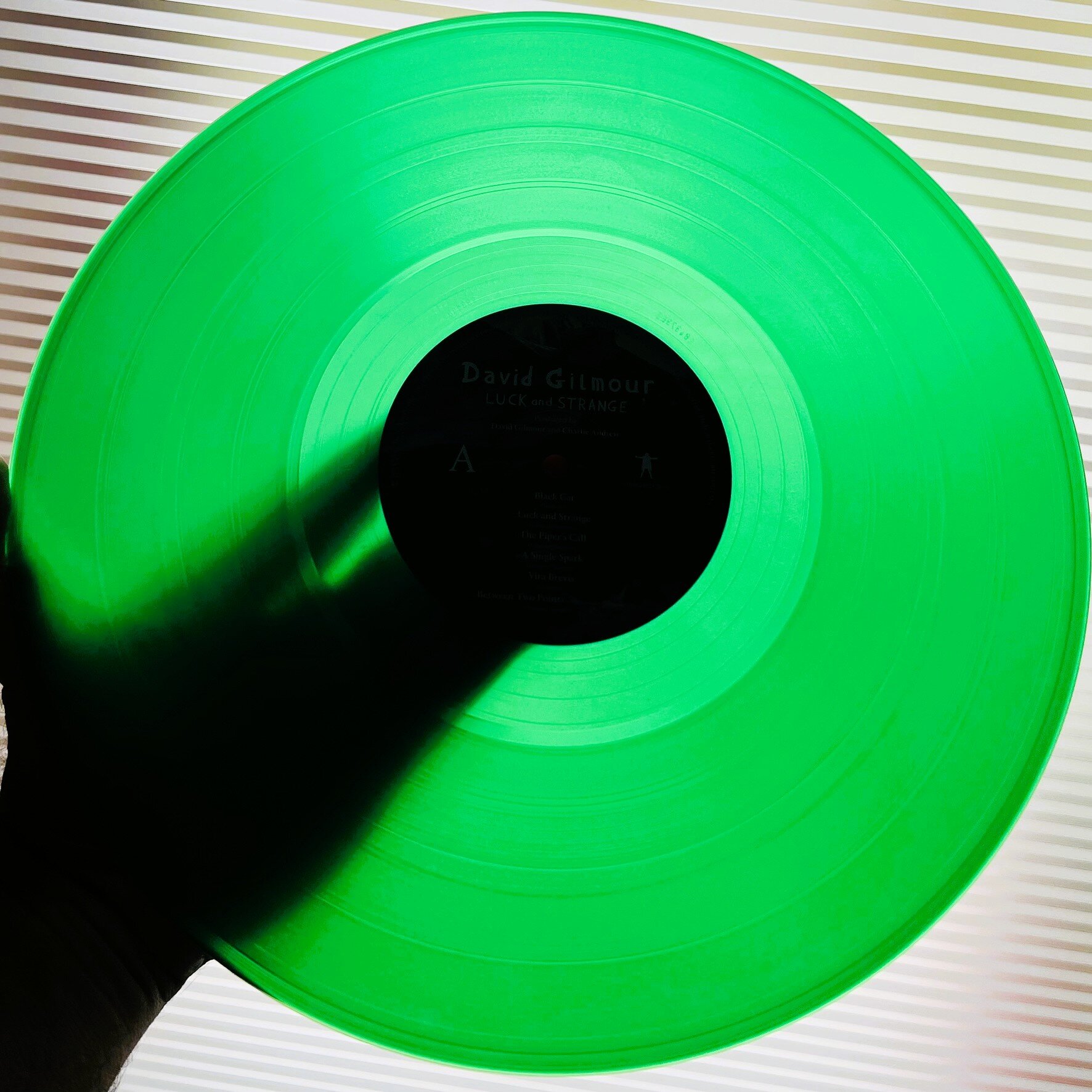 img_9840.jpeg img_9840.jpeg