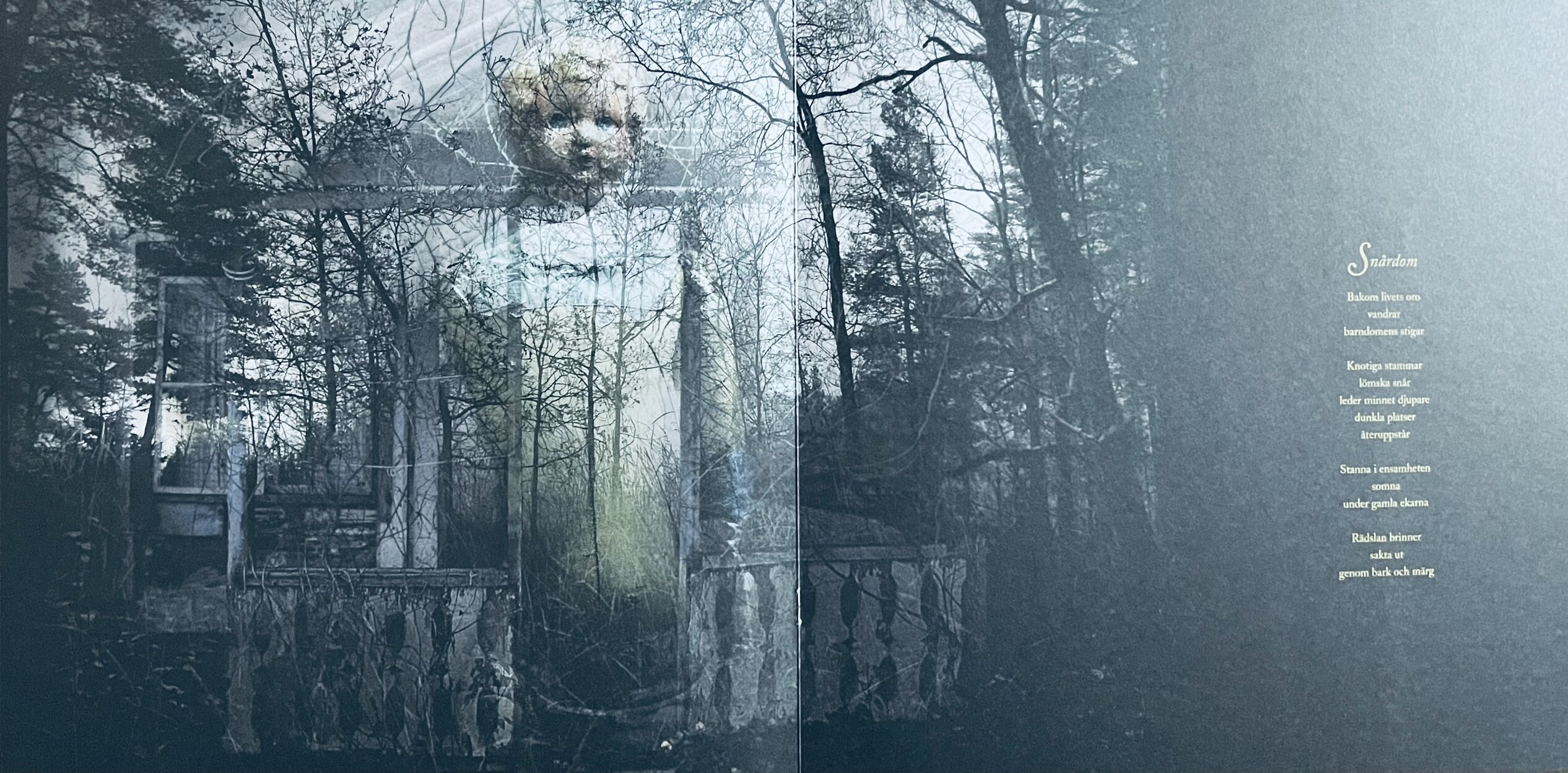 img_1284.jpeg img_1284.jpeg