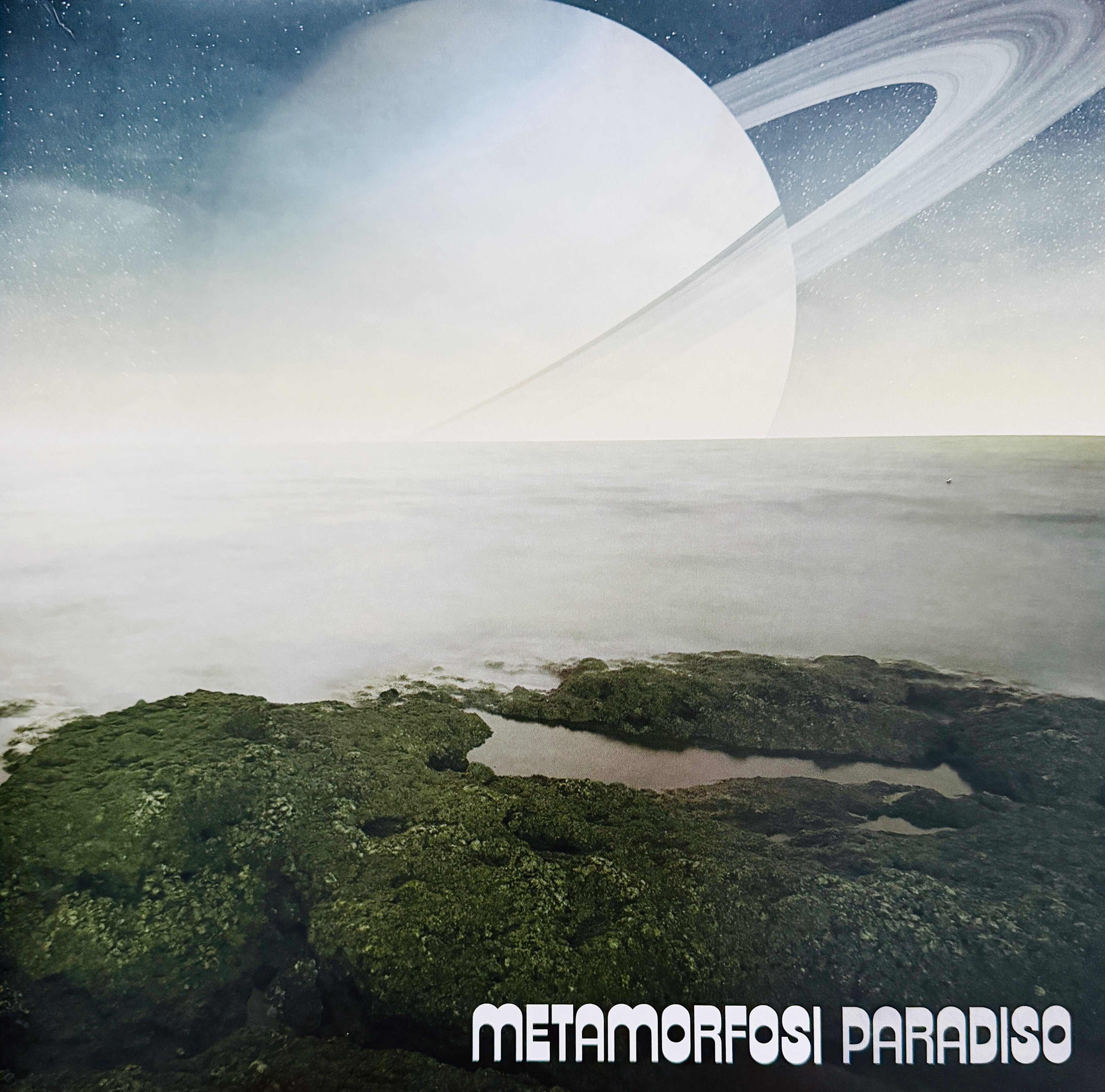 Paradiso dei Metamorfosi