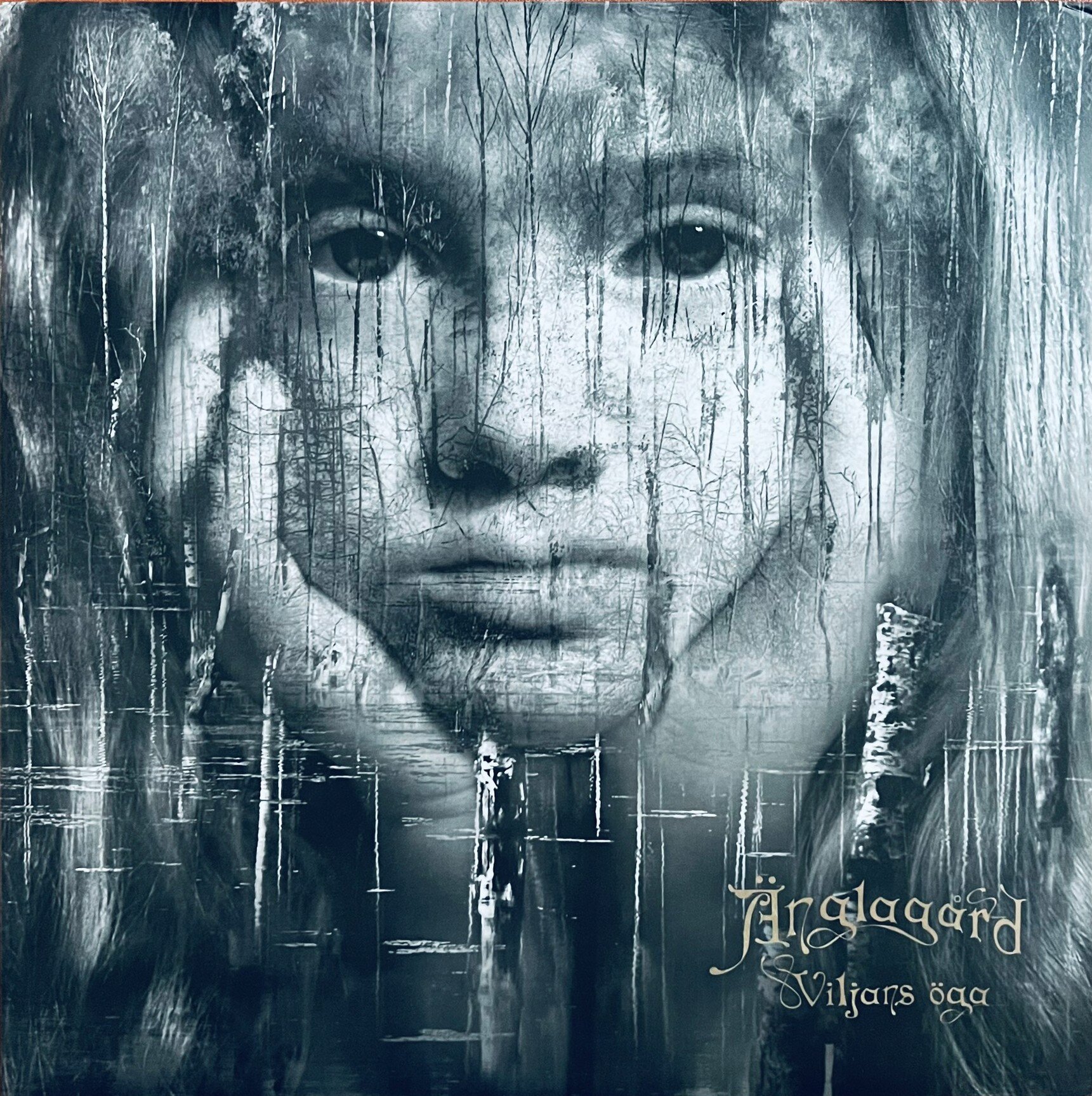 Viljans Oga degli Anglagard