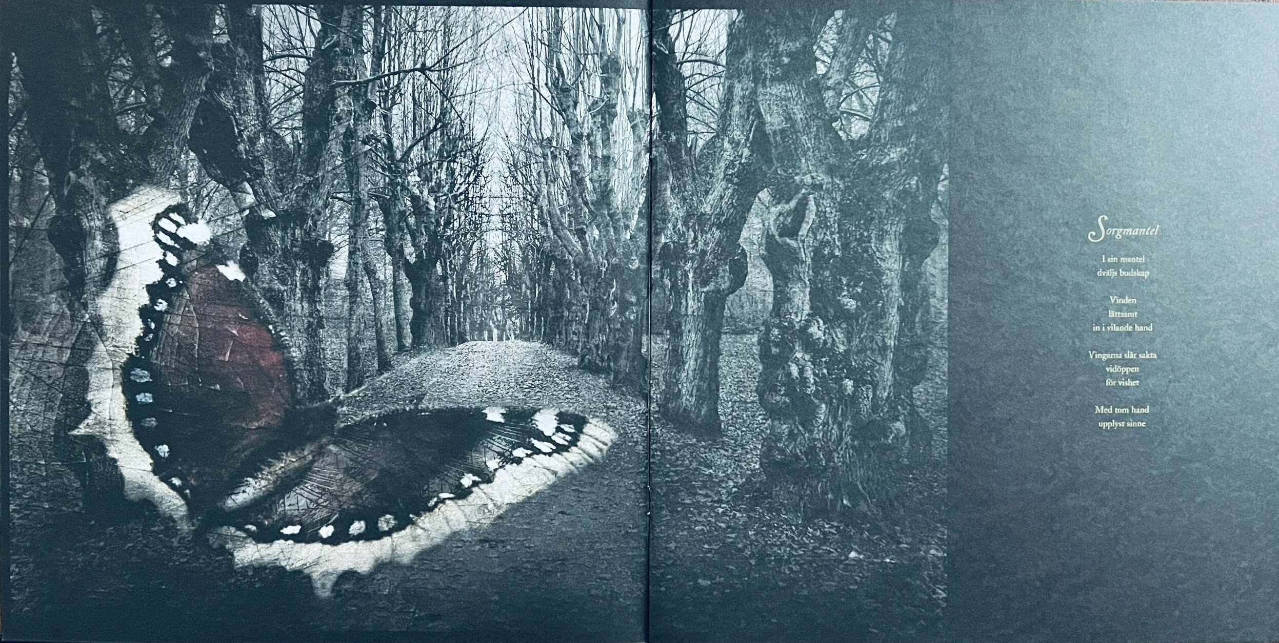 img_1283.jpeg img_1283.jpeg