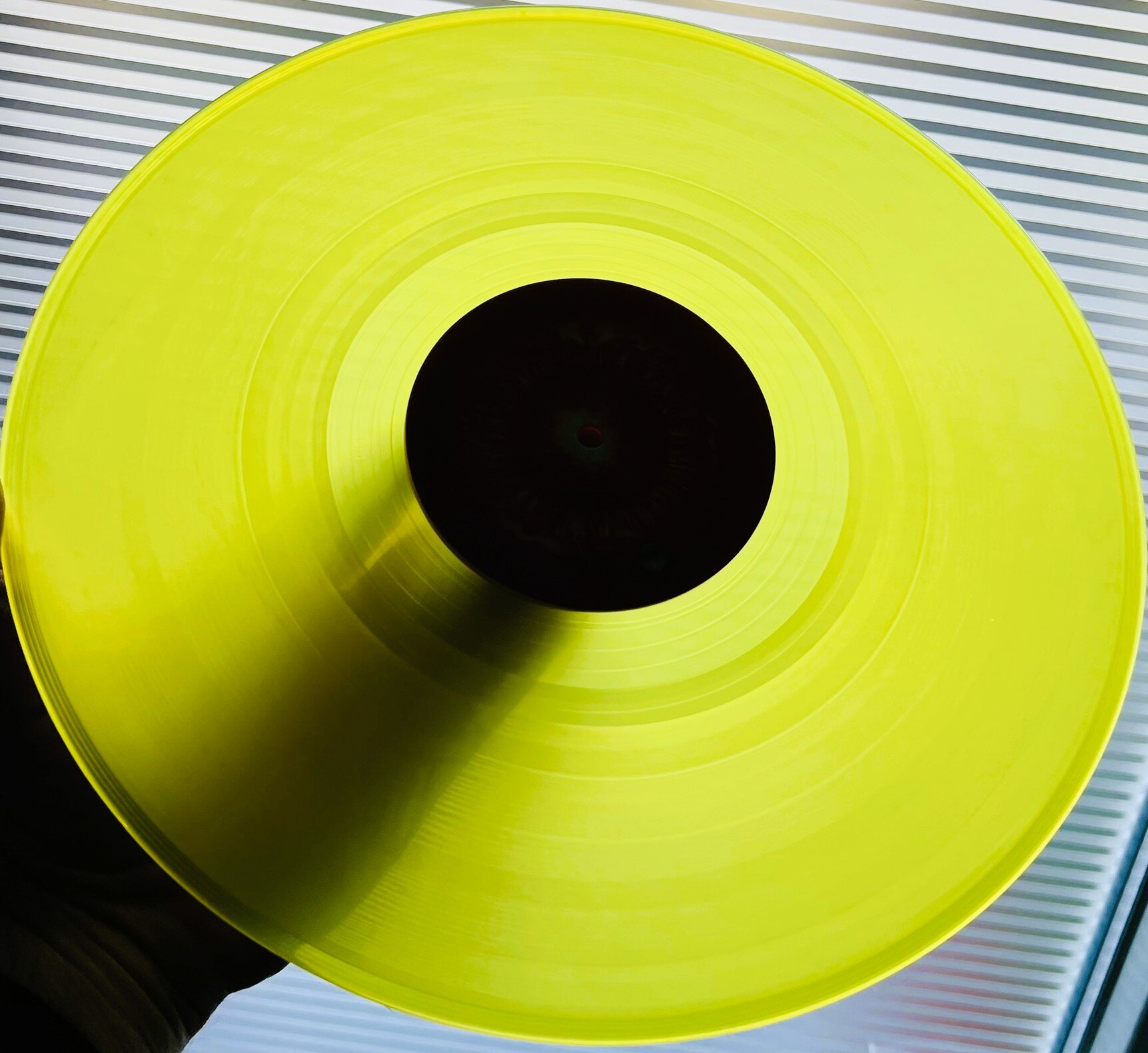 img_1385.jpeg img_1385.jpeg