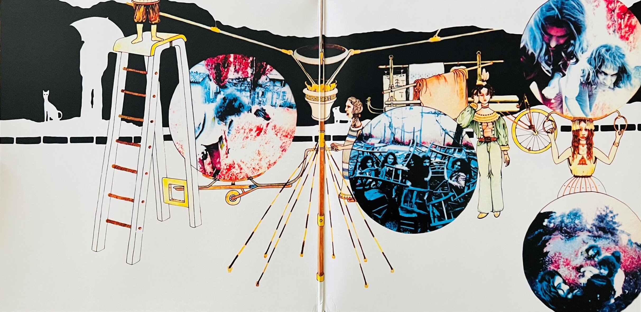 img_9131.jpeg img_9131.jpeg