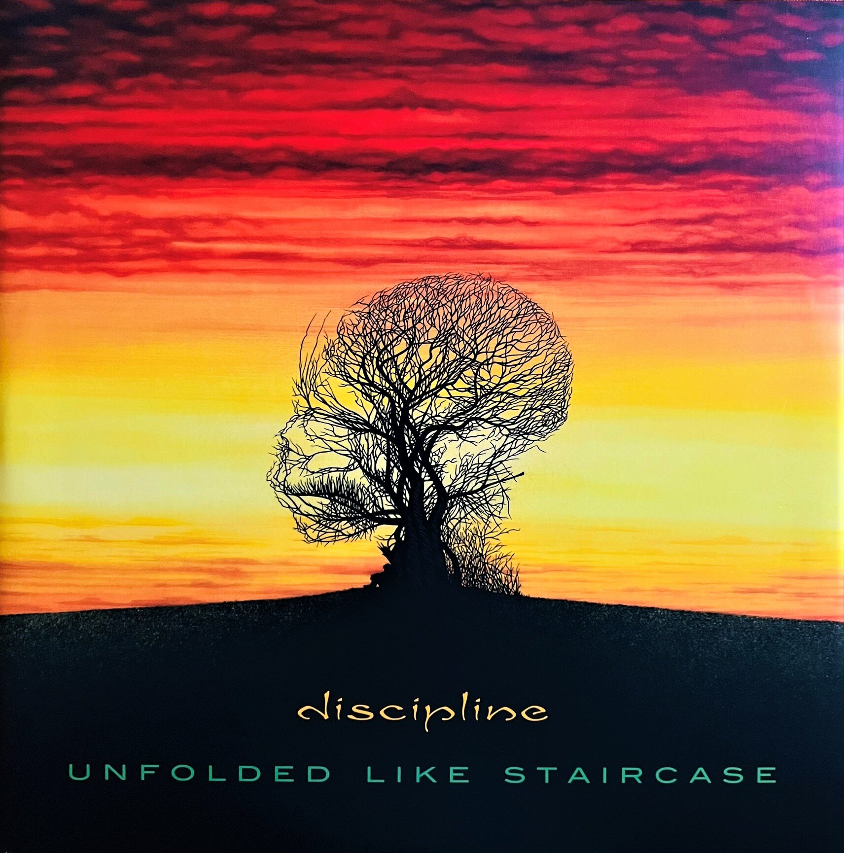 Unfolded Like Staircase dei Discipline