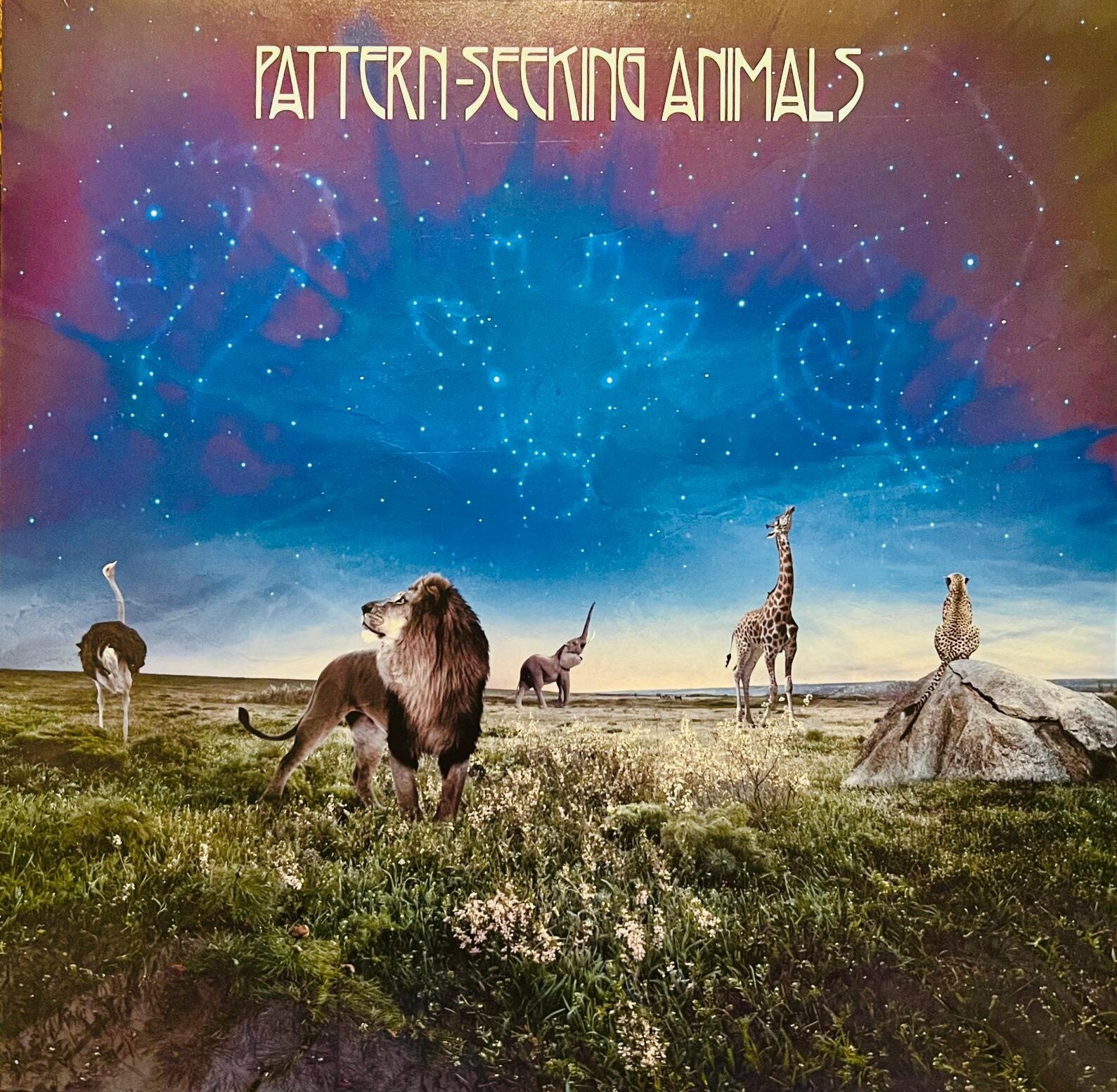 Pattern-Seeking Animals album omonimo