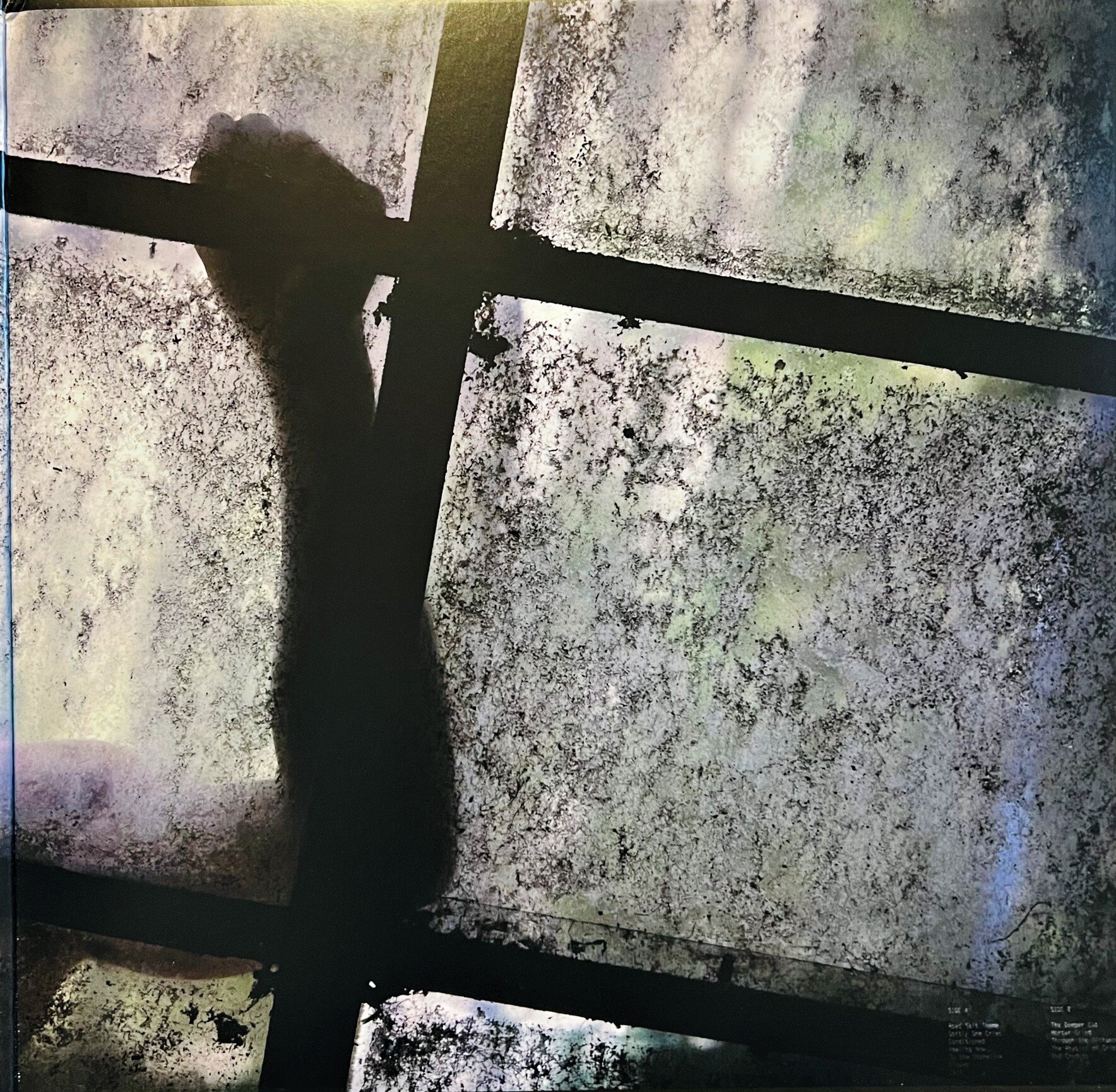 img_3148.jpeg img_3148.jpeg