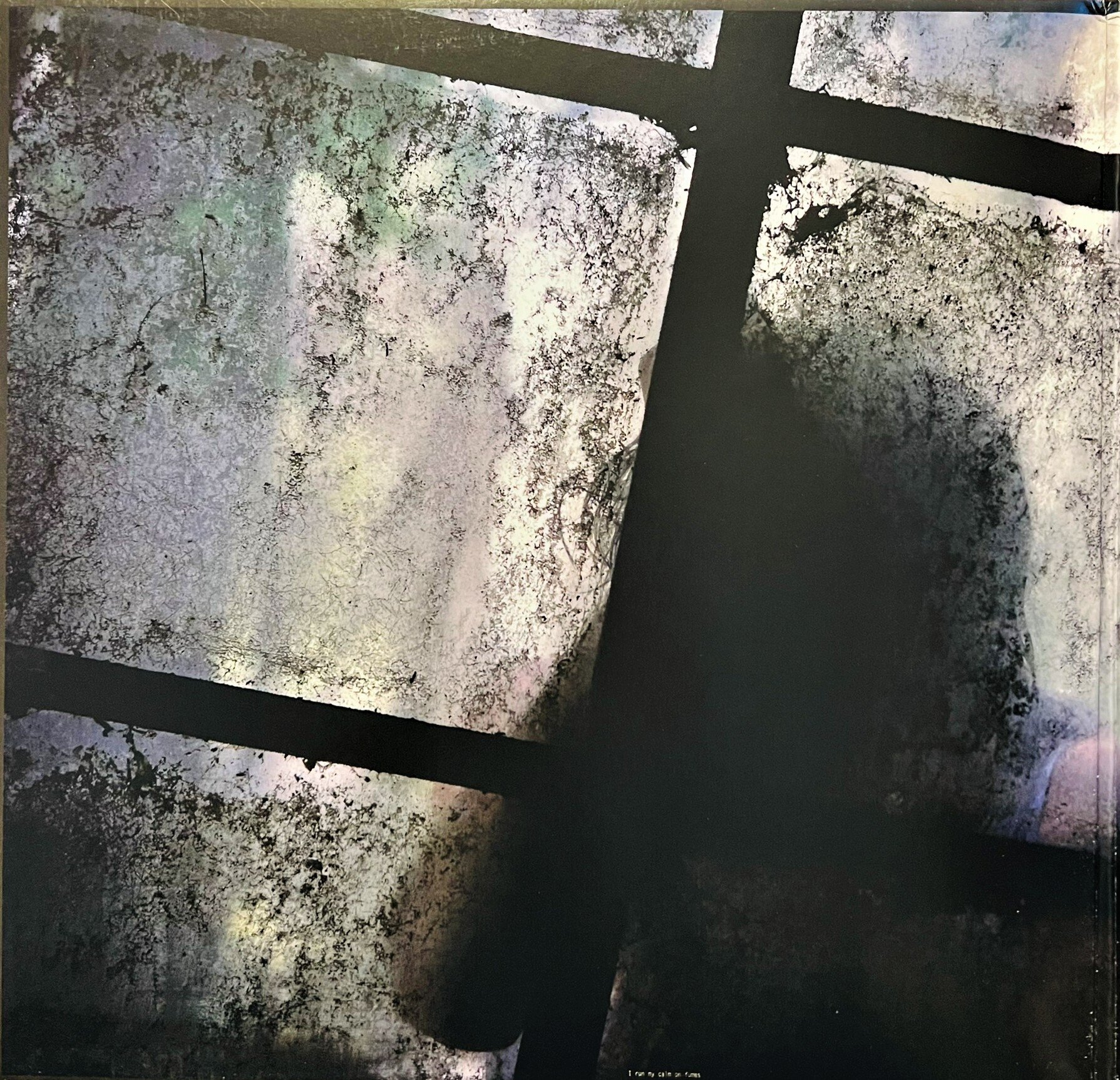 img_3147.jpeg img_3147.jpeg