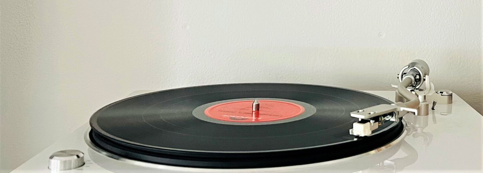 img_0734.jpeg img_0734.jpeg