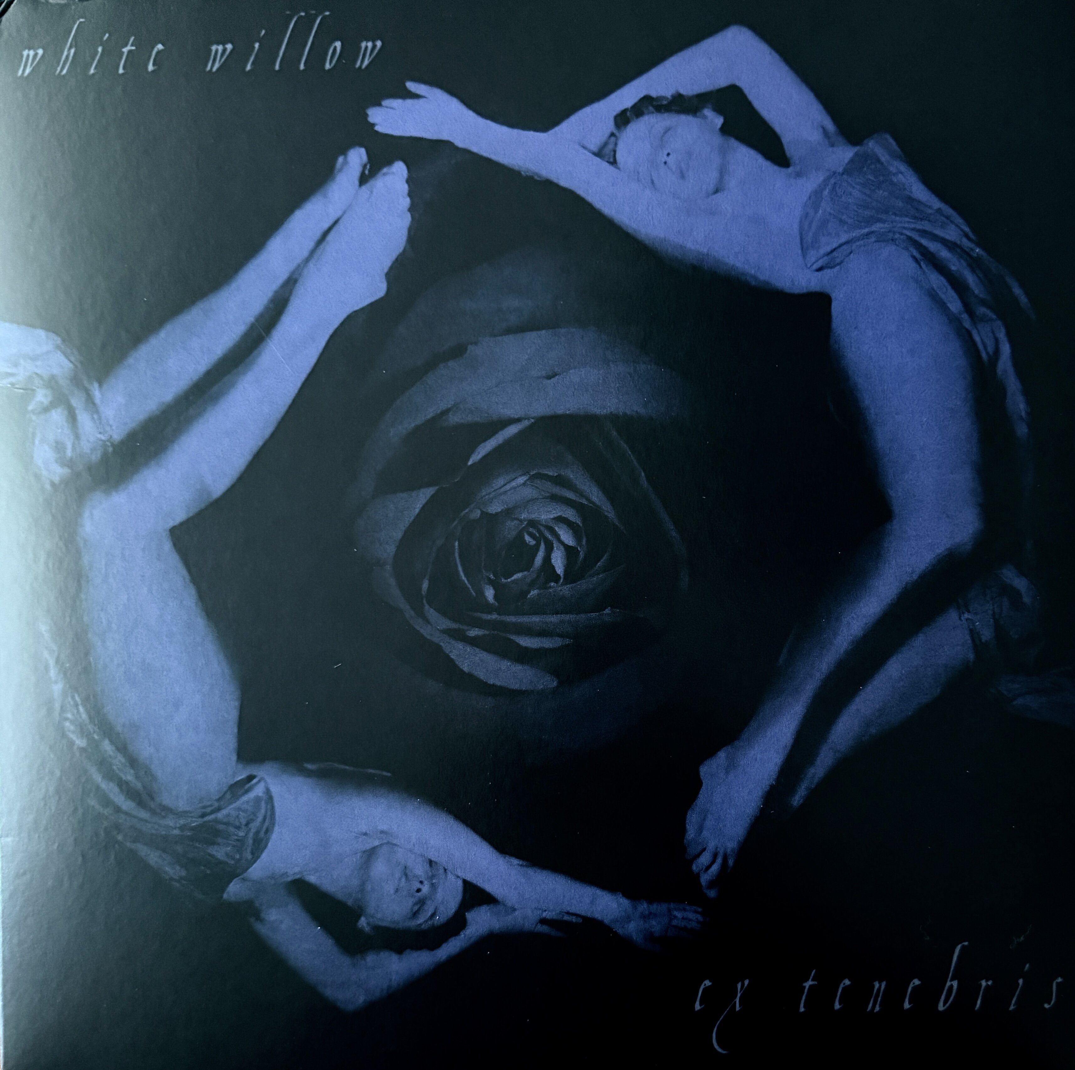 Ex Tenebris dei White Willow
