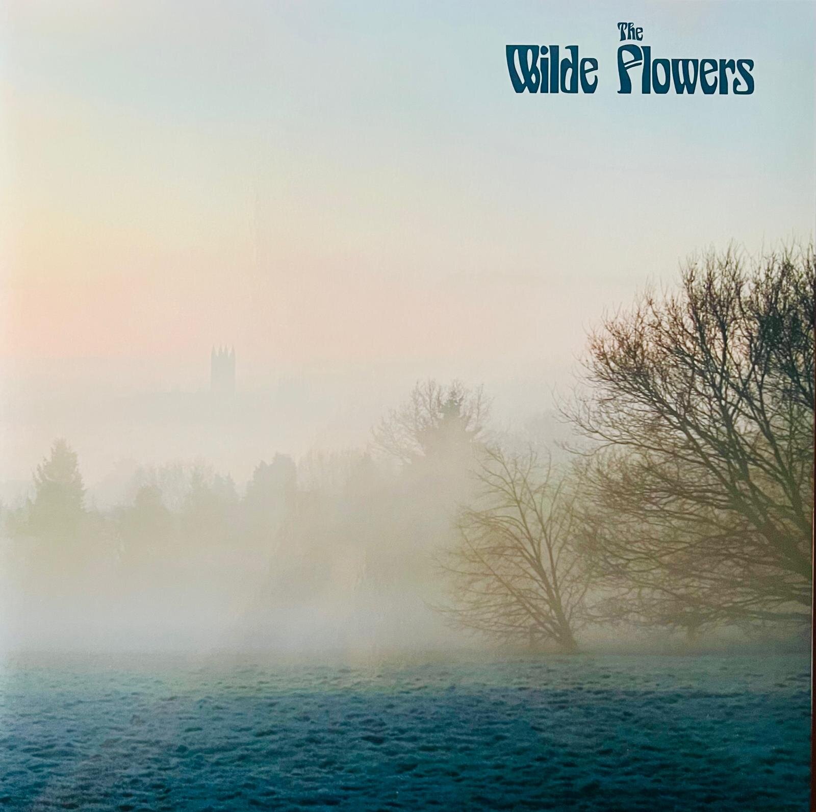 SCHEDA - The Wilde Flowers: le origini della Scena di Canterbury