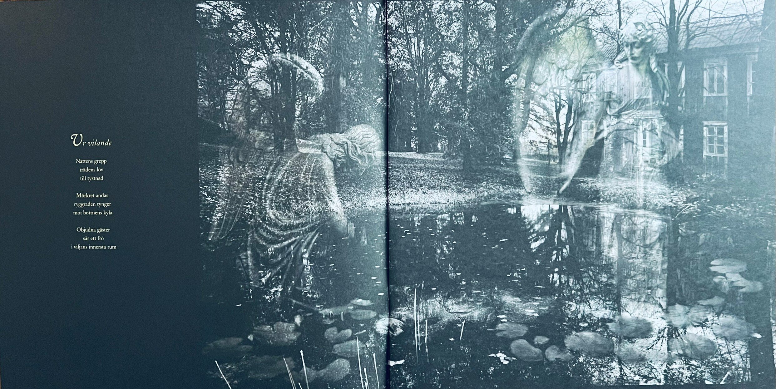 img_1282.jpeg img_1282.jpeg