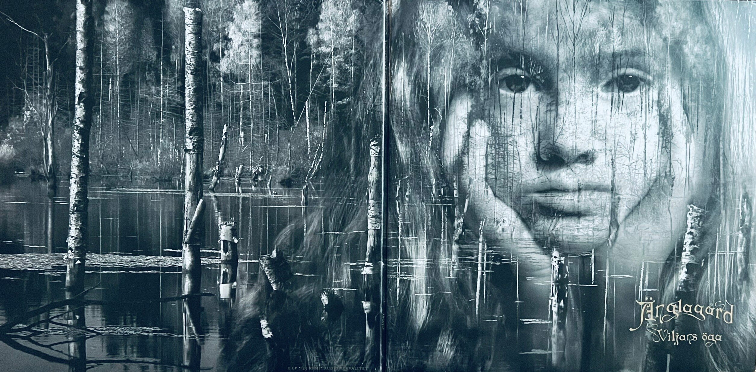 img_1281.jpeg img_1281.jpeg