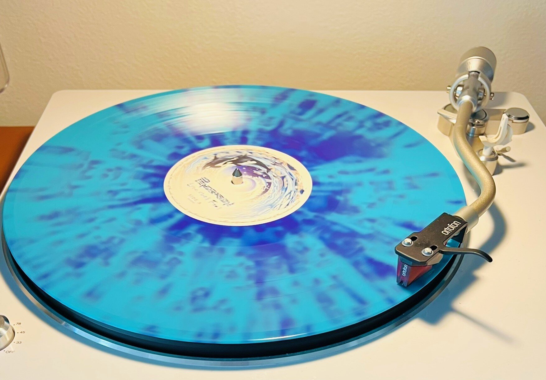 img_4306.jpeg img_4306.jpeg