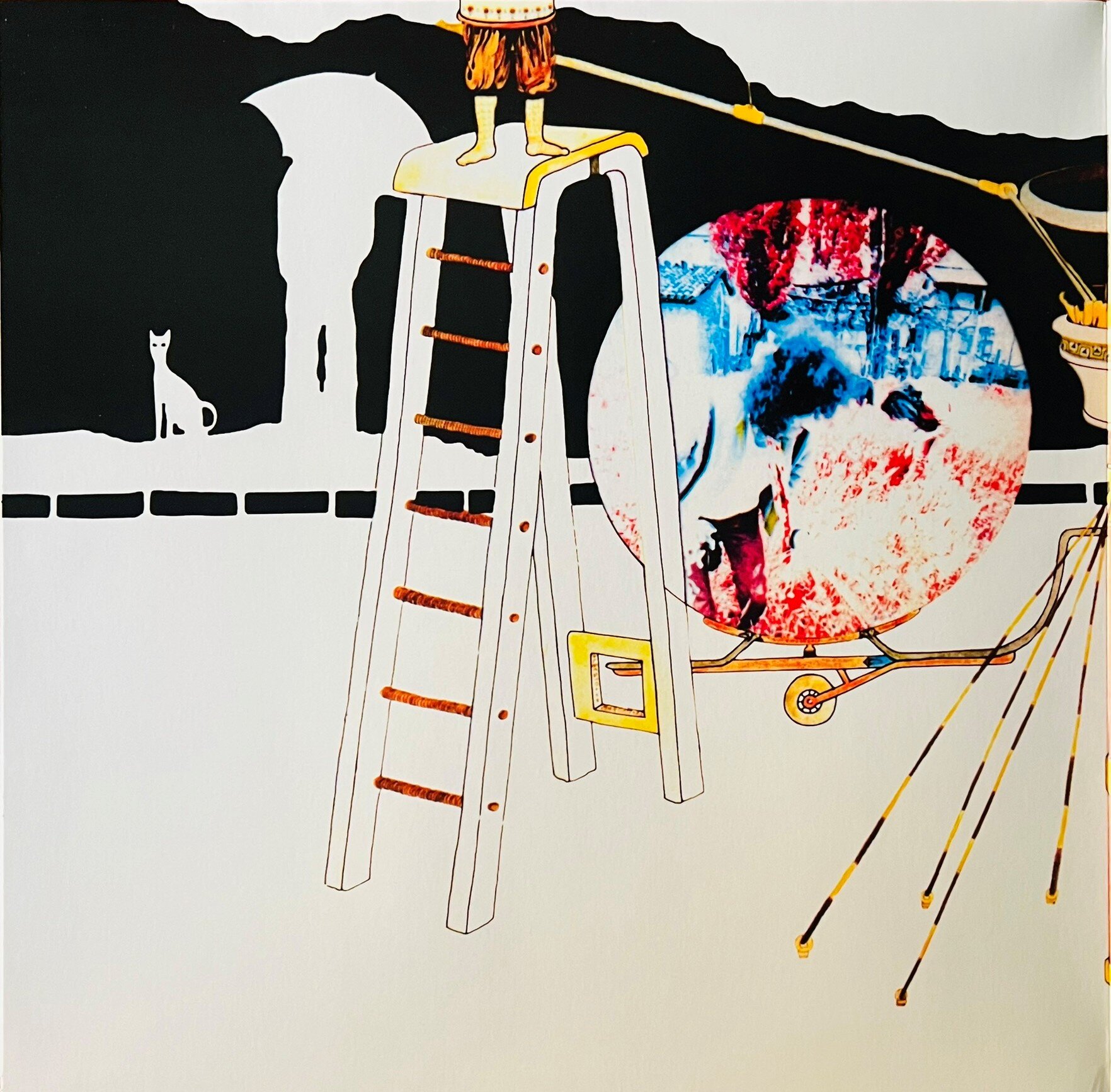 img_6502.jpeg img_6502.jpeg