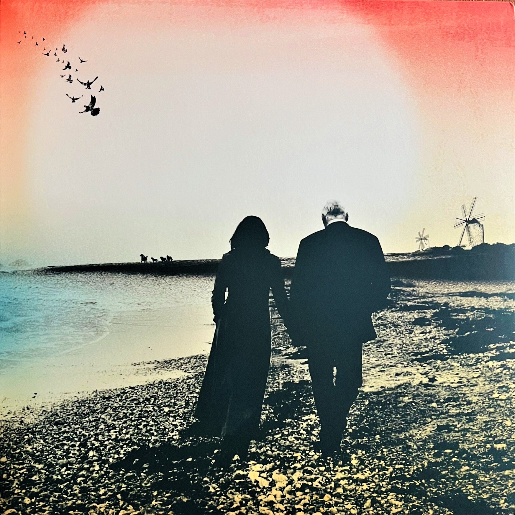 img_3286.jpeg img_3286.jpeg