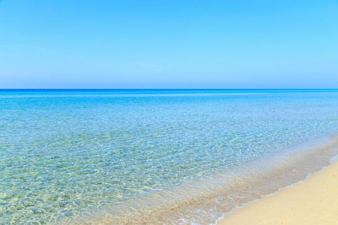 mare.jpeg