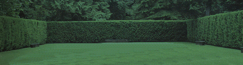 piazza verde alberoni .jpeg