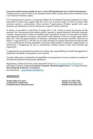 regolamento%20con%20scheda%20partecipazione%2012Â°%20concorso%20fotografico%20nazionale%20memorial%20pavan%20-%20citta'%20di%20sanremo_5.jpeg