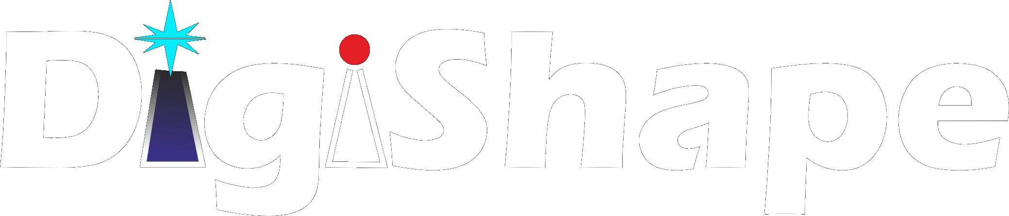 digishape logo_b digishape logo_b