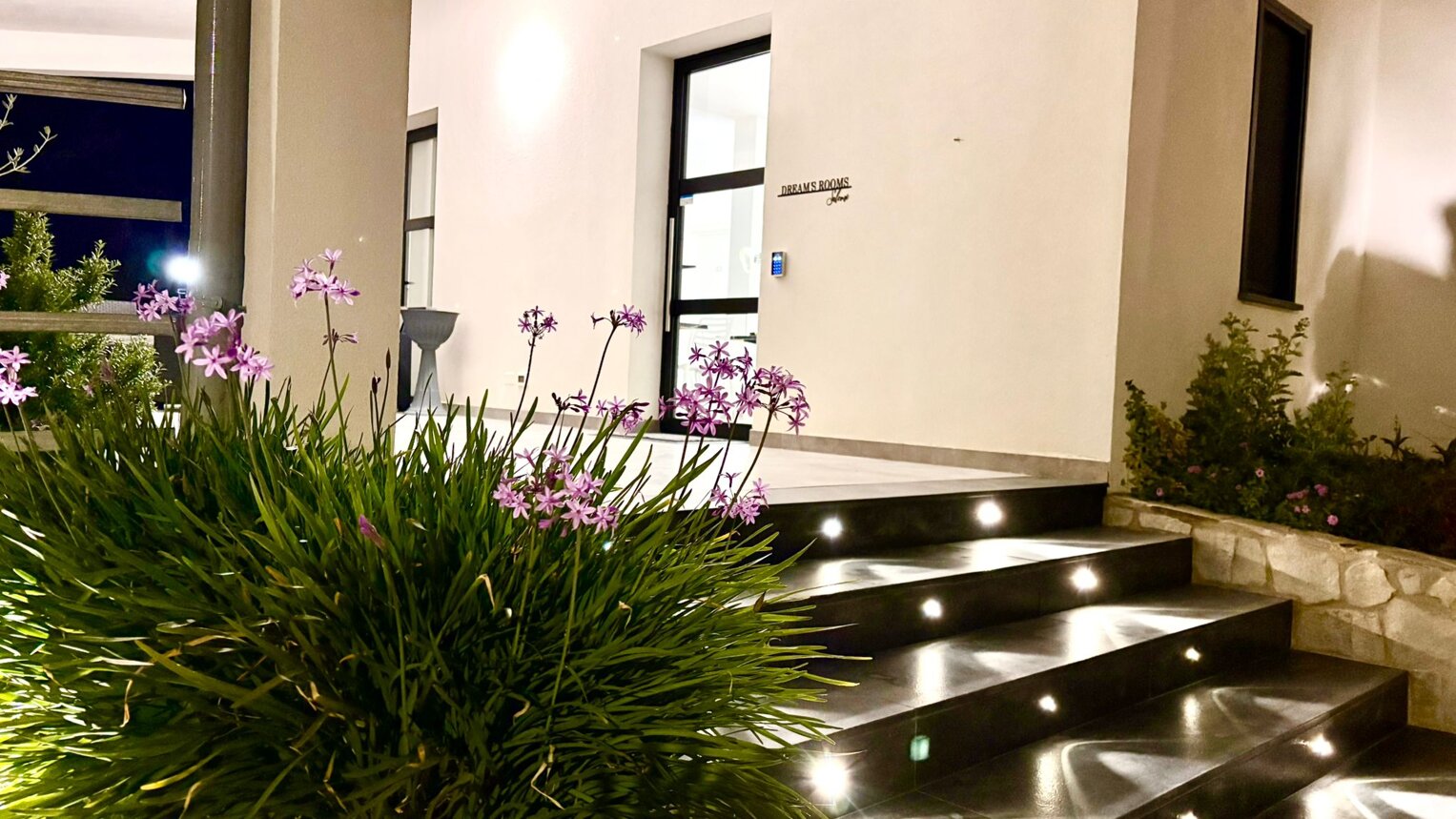 Ingresso