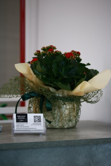 whatsapp image 2026-02-04 at 12.17.26.jpeg