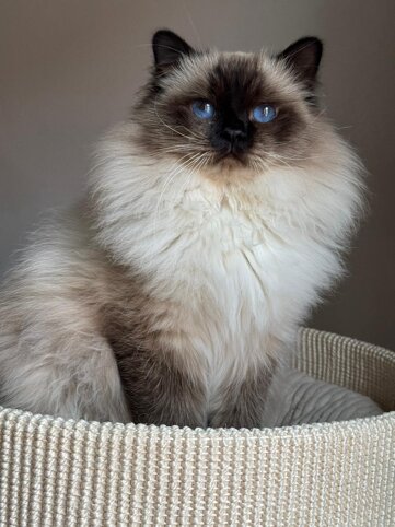 whatsapp image 2026-01-17 at 09.22.30.jpeg