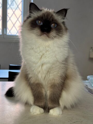 whatsapp image 2026-01-17 at 09.22.11.jpeg