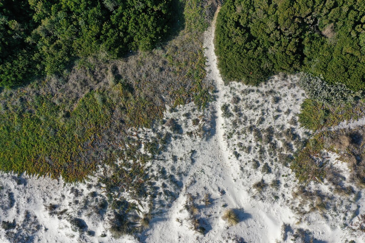 dji_0140.jpeg