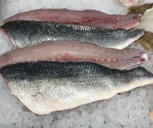 seabass.jpeg