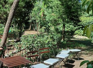allestimento giardino