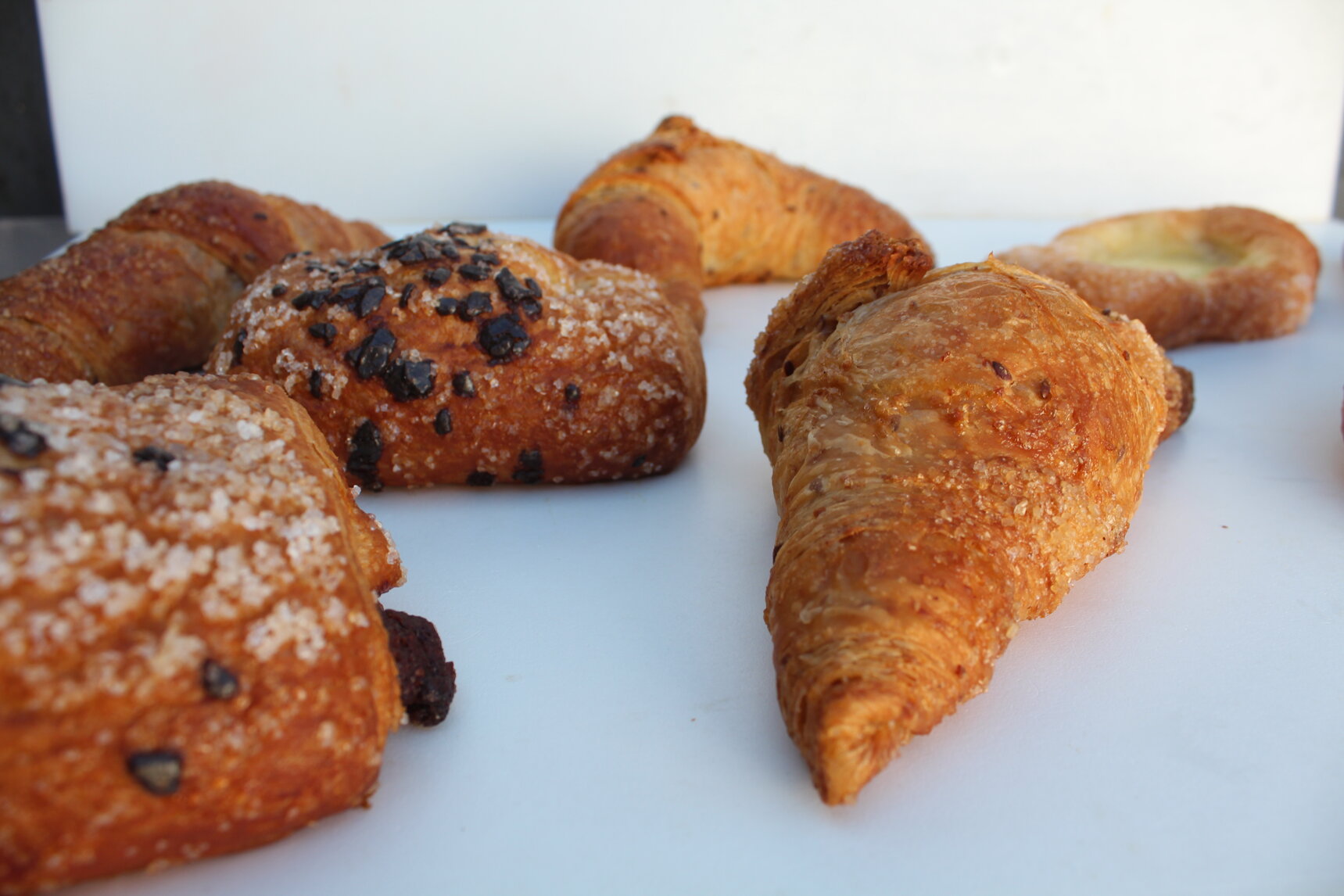 img_4916.jpeg img_4916.jpeg