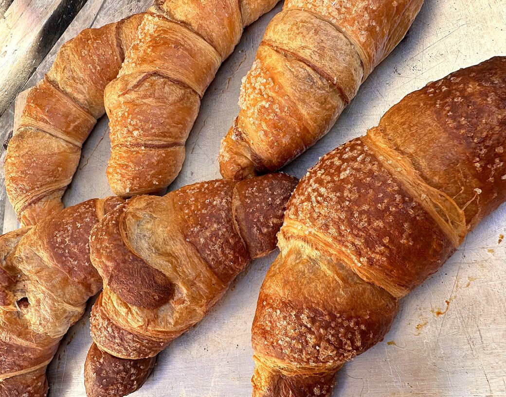 img_8165.jpeg img_8165.jpeg