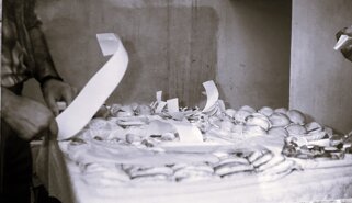 img_4993_202602171501047 ò.jpeg