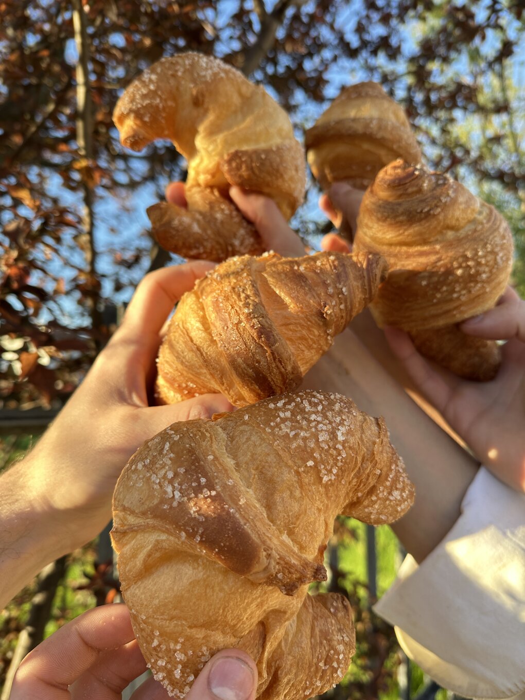 img_0186_202503191733057.jpeg img_0186_202503191733057.jpeg