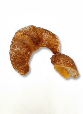 c.albicocca.jpeg c.albicocca.jpeg