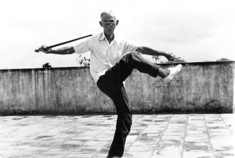 su phu ta nam - vo dang luc hop.jpeg