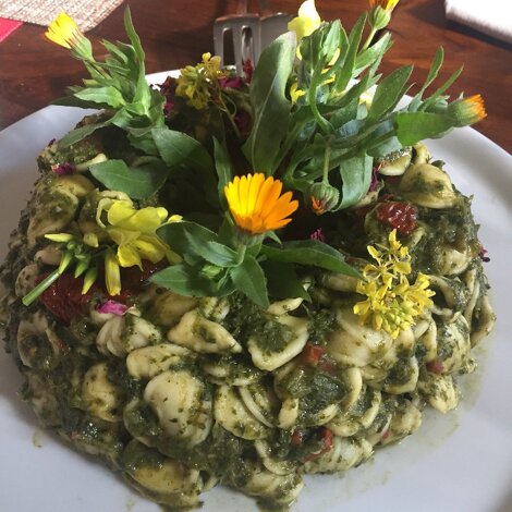 img_4264.jpeg img_4264.jpeg