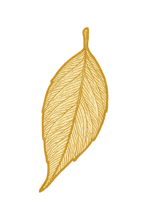 copilot_20250917_134708