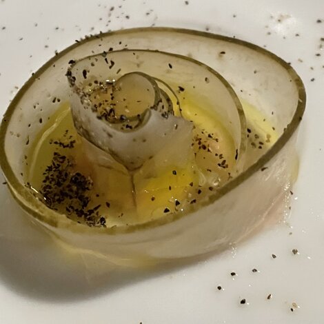 5f8a9464.jpeg 5f8a9464.jpeg