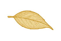 copilot_20250917_134708 2