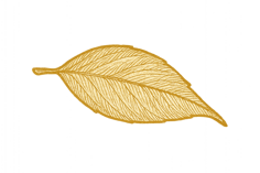 copilot_20250917_134708 2