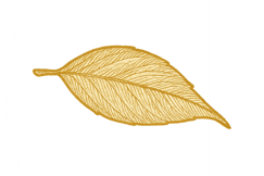 copilot_20250917_134708 2