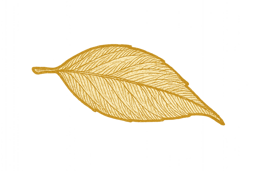 copilot_20250917_134708 2