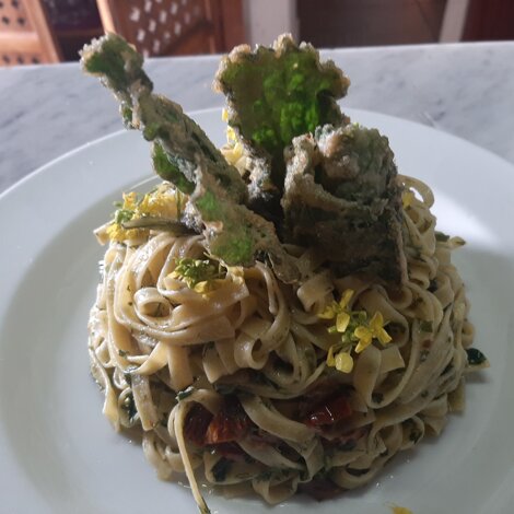 img_1181.jpeg img_1181.jpeg