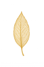 copilot_20250917_141930