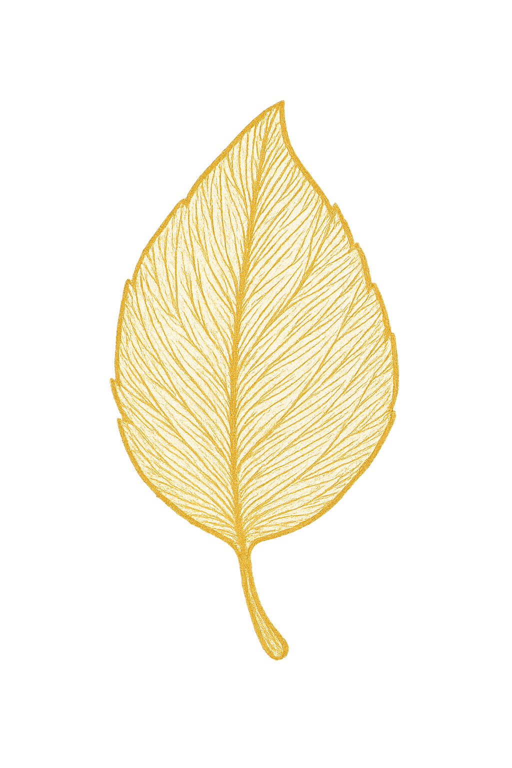 La prima parola sull&rsquo;Albero delle Storie