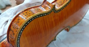 violino.jpeg violino.jpeg